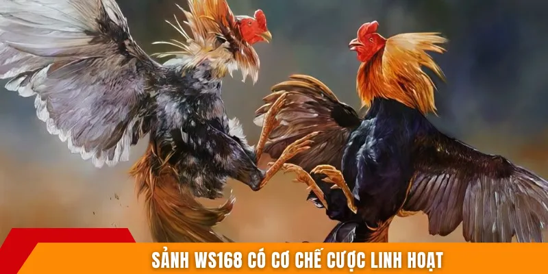 Sảnh WS168 có cơ chế cược linh hoạt